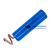 Batterie für PLC 210534 [Ersatzbatterie]